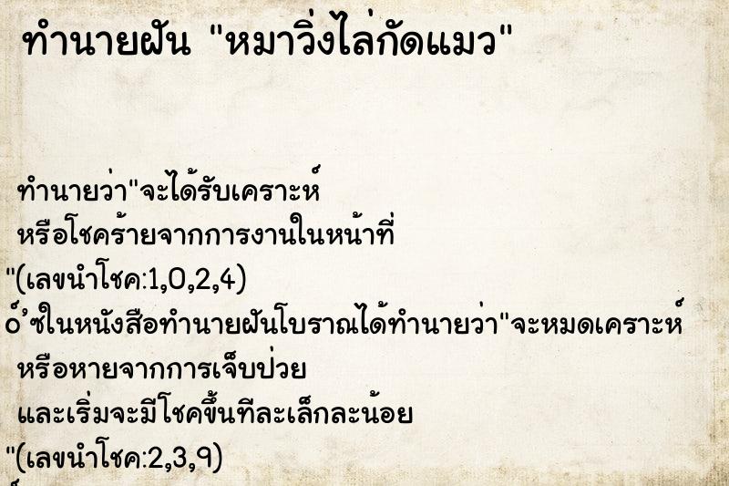 ทำนายฝัน หมาวิ่งไล่กัดแมว