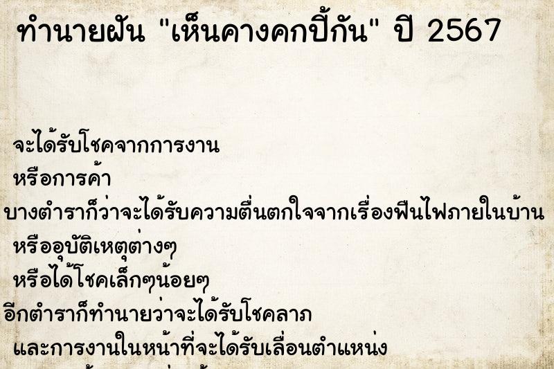 ทำนายฝันเห็นคางคกปี้กัน ทำนายฝันทำนายฝันเห็นคางคกปี้กัน