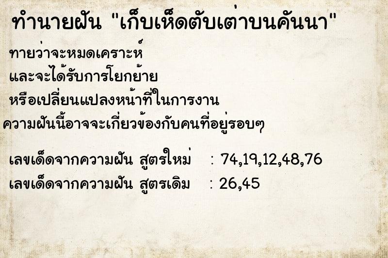 ทำนายฝันเก็บเห็ดตับเต่าบนคันนา ทำนายฝันทำนายฝันเก็บเห็ดตับเต่าบนคันนา