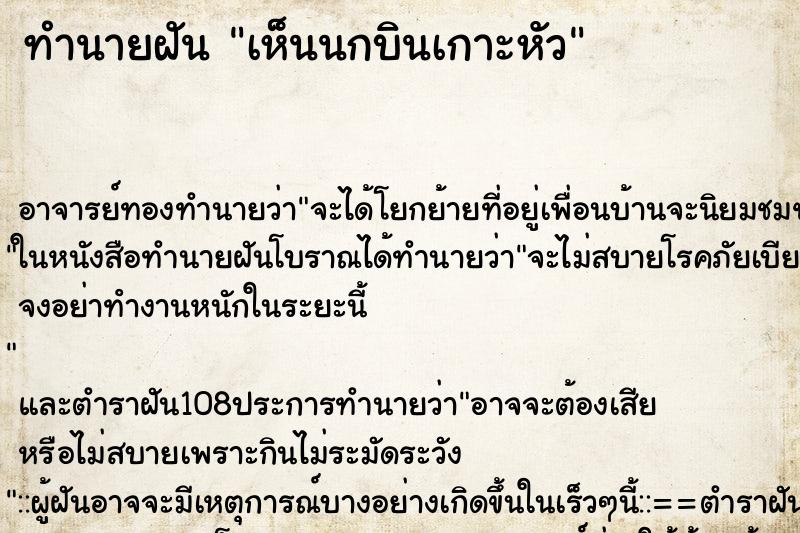 ทำนายฝันเห็นนกบินเกาะหัว ทำนายฝันทำนายฝันเห็นนกบินเกาะหัว