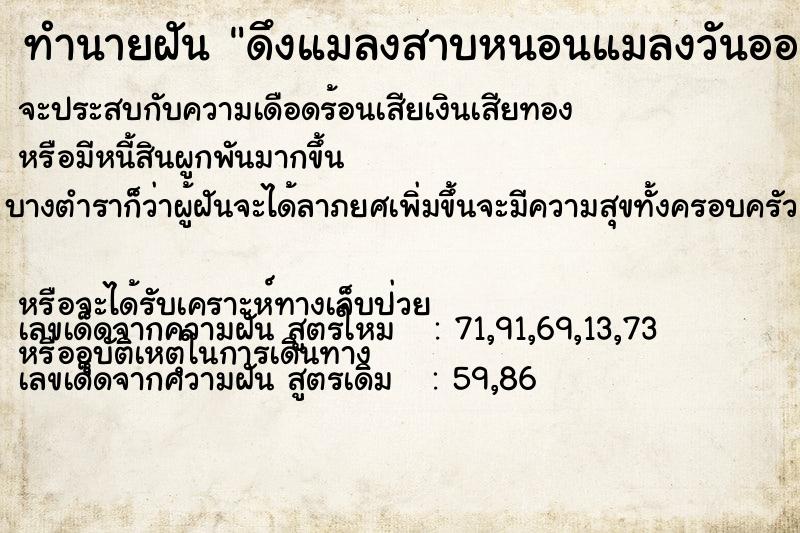 ทำนายฝัน ดึงแมลงสาบหนอนแมลงวันออกจากหู ทำนายฝัน ดึงแมลงสาบหนอนแมลงวันออกจากหู