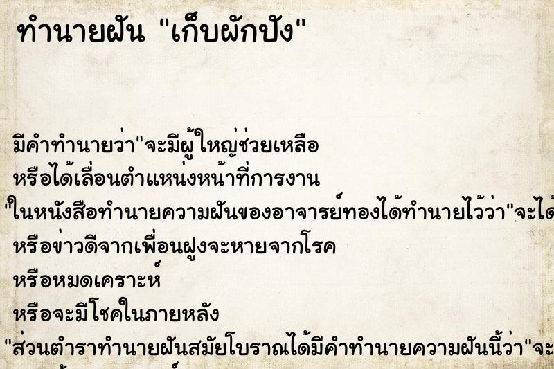 ทำนายฝัน เก็บผักปัง ตำราโบราณ แม่นที่สุดในโลก