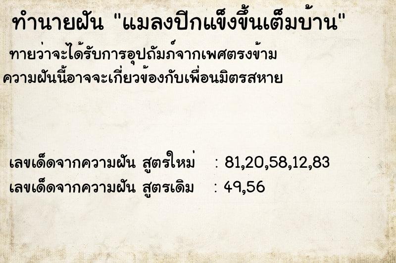 ทำนายฝันแมลงปีกแข็งขึ้นเต็มบ้าน ทำนายฝันทำนายฝันแมลงปีกแข็งขึ้นเต็มบ้าน