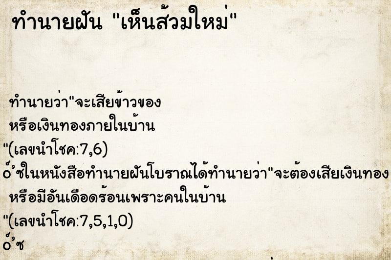ทำนายฝันเห็นส้วมใหม่ ทำนายฝันทำนายฝันเห็นส้วมใหม่