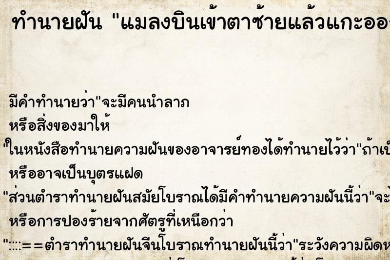 ทำนายฝันแมลงบินเข้าตาซ้ายแล้วแกะออก ทำนายฝันทำนายฝันแมลงบินเข้าตาซ้ายแล้วแกะออก