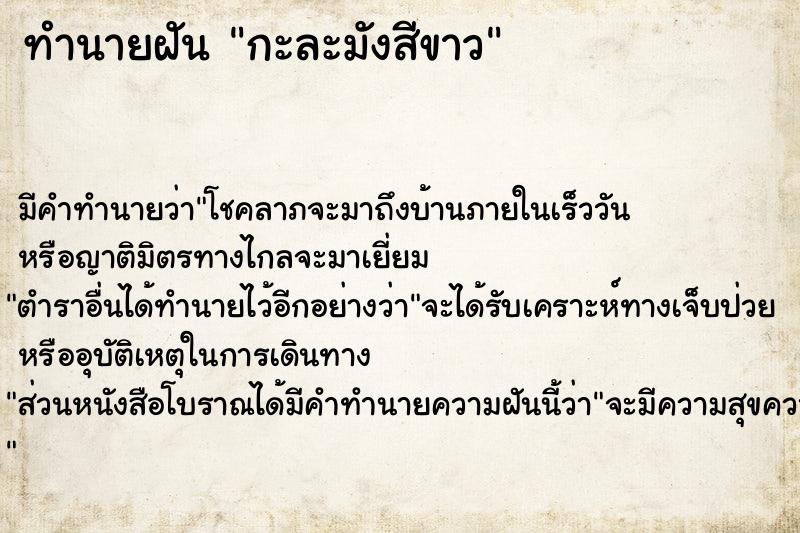 ทำนายฝัน กะละมังสีขาว ทำนายฝัน กะละมังสีขาว