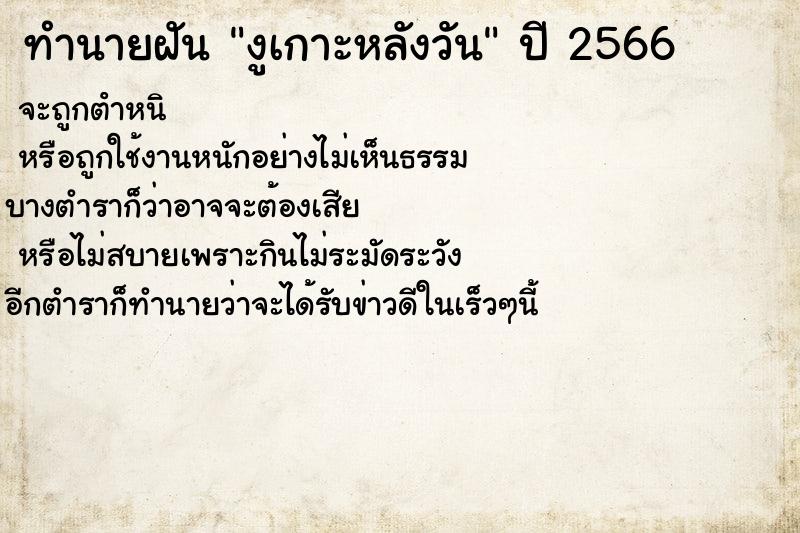 ทำนายฝันงูเกาะหลังวัน ทำนายฝันทำนายฝันงูเกาะหลังวัน