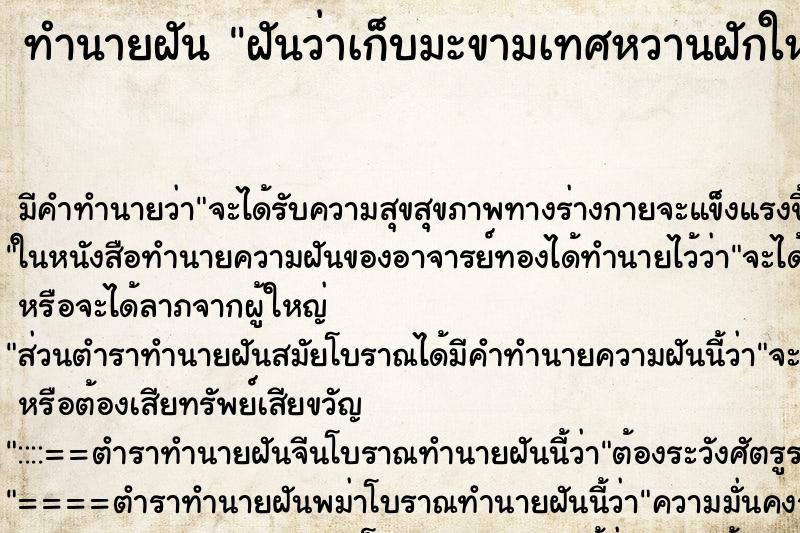 ทำนายฝัน ฝันว่าเก็บมะขามเทศหวานฝักใหญ่จากต้นกินหลายฝัก ทำนายฝัน ฝันว่าเก็บมะขามเทศหวานฝักใหญ่จากต้นกินหลายฝัก