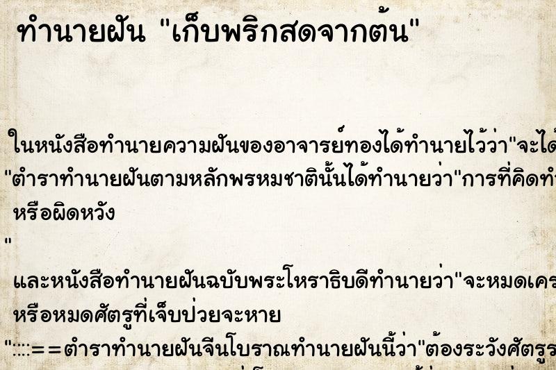 ทำนายฝัน เก็บพริกสดจากต้น แม่นๆ ฟรี ด้วยตำราหนังสือทำนายฝันโบราณ ทำนายฝันเก็บพริกสดจากต้น