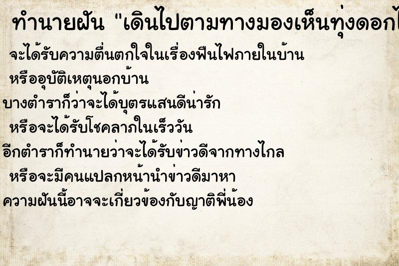 ทำนายฝันทำนายฝันเดินไปตามทางมองเห็นทุ่งดอกไม้สวยมาก