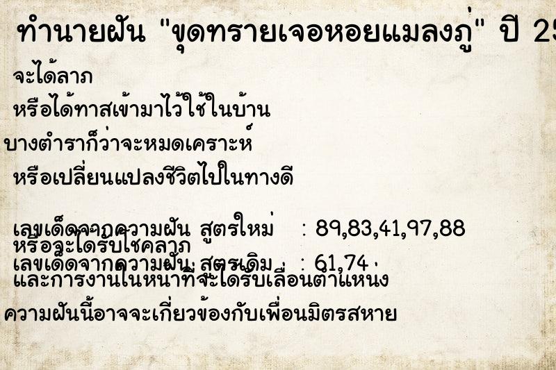ทำนายฝัน ขุดทรายเจอหอยแมลงภู่ ทำนายฝัน ขุดทรายเจอหอยแมลงภู่
