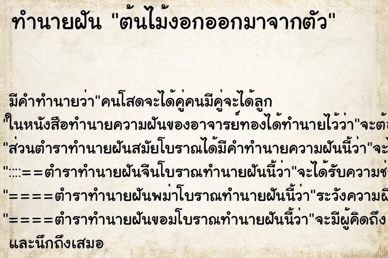 ทำนายฝันต้นไม้งอกออกมาจากตัว ทำนายฝันทำนายฝันต้นไม้งอกออกมาจากตัว