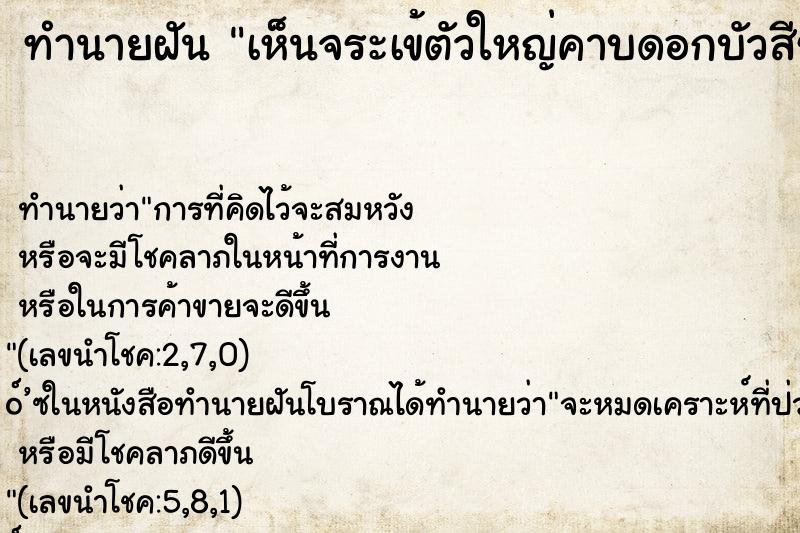 ทำนายฝันเห็นจระเข้ตัวใหญ่คาบดอกบัวสีชมพู ทำนายฝันทำนายฝันเห็นจระเข้ตัวใหญ่คาบดอกบัวสีชมพู