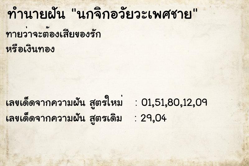 ทำนายฝันนกจิกอวัยวะเพศชาย ทำนายฝันทำนายฝันนกจิกอวัยวะเพศชาย