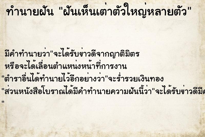 ทำนายฝันทำนายฝันฝันเห็นเต่าตัวใหญ่หลายตัว