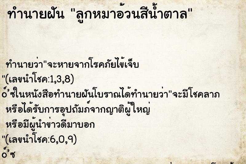 ทำนายฝัน ลูกหมาอ้วนสีน้ำตาล ทำนายฝัน ลูกหมาอ้วนสีน้ำตาล