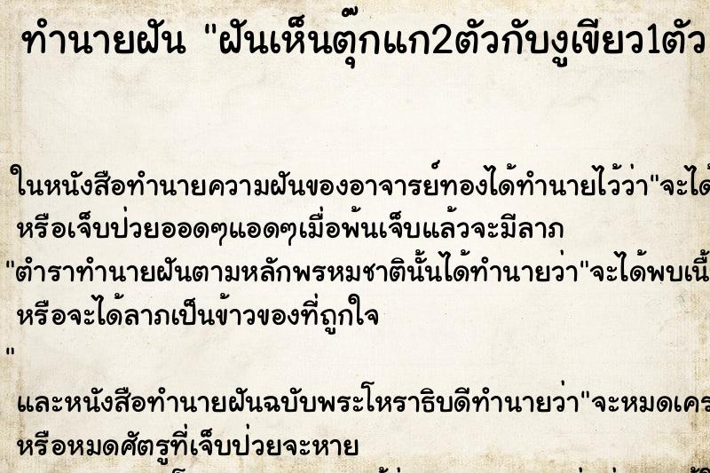 ทำนายฝันฝันเห็นตุ๊กแก2ตัวกับงูเขียว1ตัว ทำนายฝันทำนายฝันฝันเห็นตุ๊กแก2ตัวกับงูเขียว1ตัว
