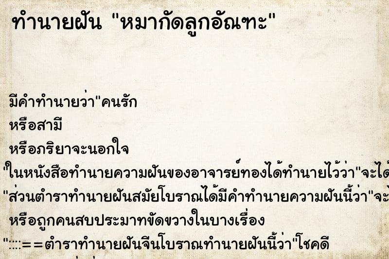 ทำนายฝัน หมากัดลูกอัณฑะ ทำนายฝัน หมากัดลูกอัณฑะ