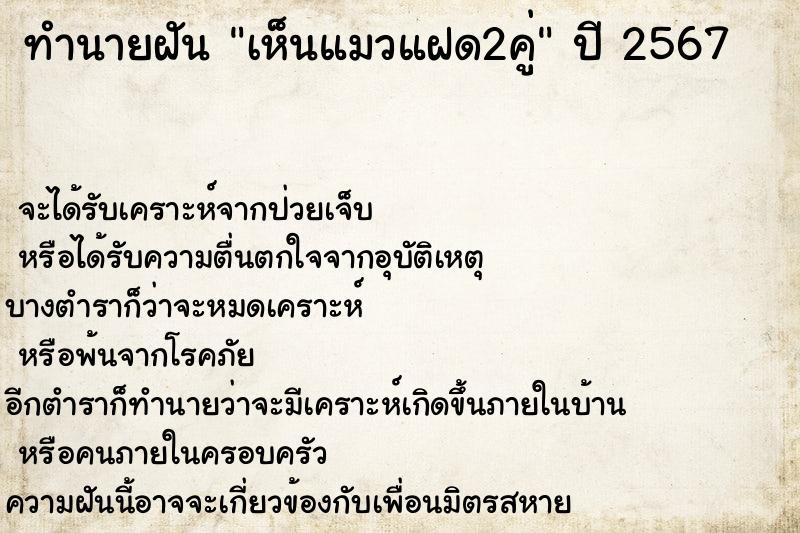 ทำนายฝันเห็นแมวแฝด2คู่ ทำนายฝันทำนายฝันเห็นแมวแฝด2คู่