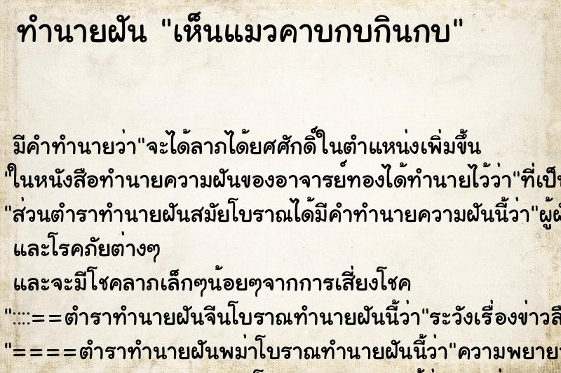 ทำนายฝัน เห็นแมวคาบกบกินกบ ทำนายฝัน เห็นแมวคาบกบกินกบ