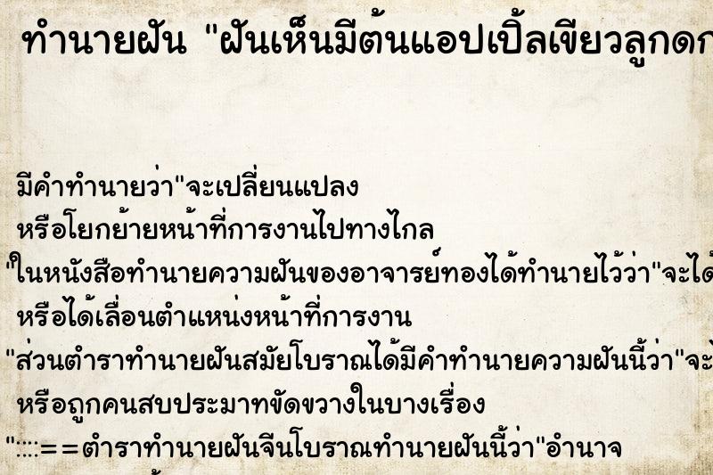 ทำนายฝันทำนายฝันฝันเห็นมีต้นแอปเปิ้ลเขียวลูกดกเต็มต้นไปหมดเลย