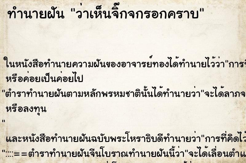 ทำนายฝันว่าเห็นจิ๊กจกรอกคราบ ทำนายฝันทำนายฝันว่าเห็นจิ๊กจกรอกคราบ