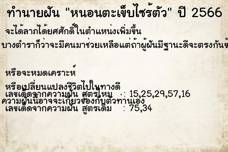 ทำนายฝันหนอนตะเข็บไซร้ตัว ทำนายฝันทำนายฝันหนอนตะเข็บไซร้ตัว