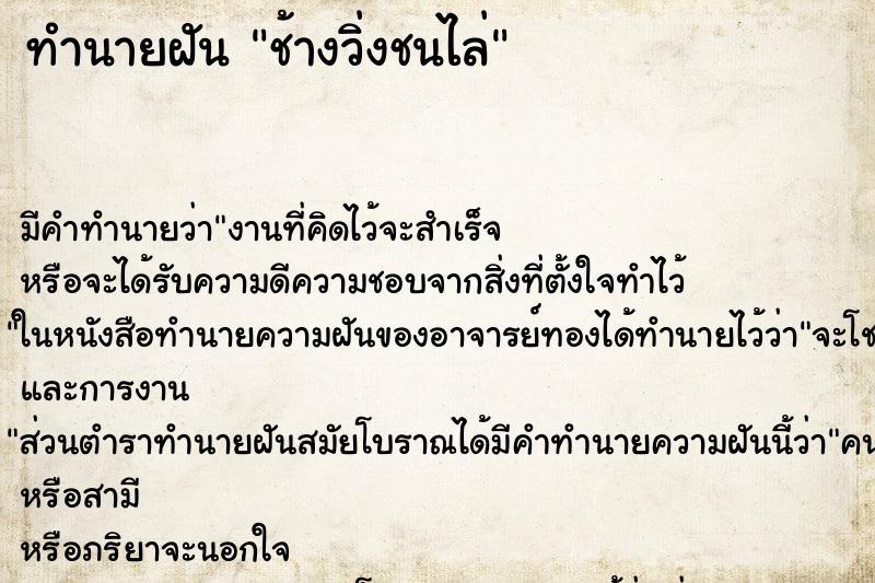 ทำนายฝัน ช้างวิ่งชนไล่ ทำนายฝัน ช้างวิ่งชนไล่