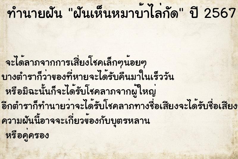 ทำนายฝันฝันเห็นหมาบ้าไล่กัด ทำนายฝันทำนายฝันฝันเห็นหมาบ้าไล่กัด