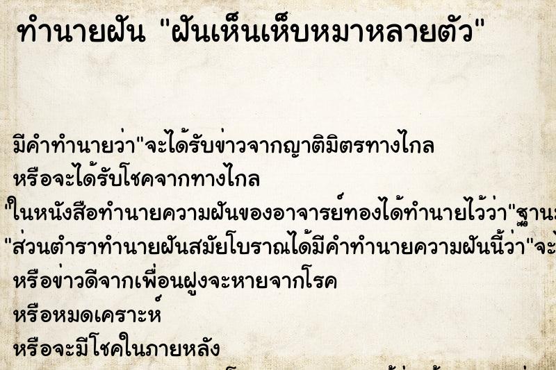 ทำนายฝัน ฝันเห็นเห็บหมาหลายตัว ทำนายฝัน ฝันเห็นเห็บหมาหลายตัว
