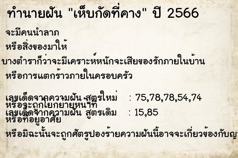 ทำนายฝันทำนายฝันเห็บกัดที่คาง