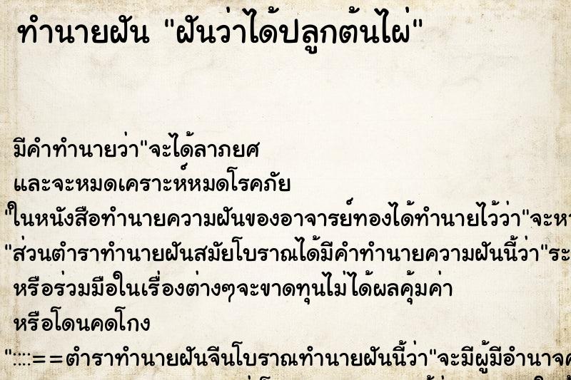 ทำนายฝัน ฝันว่าได้ปลูกต้นไผ่