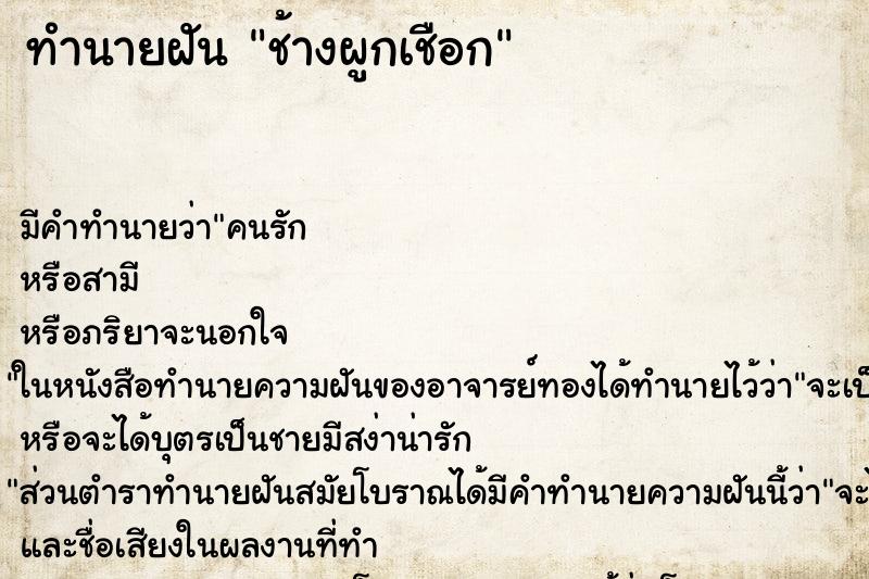 ทำนายฝันช้างผูกเชือก ทำนายฝันทำนายฝันช้างผูกเชือก