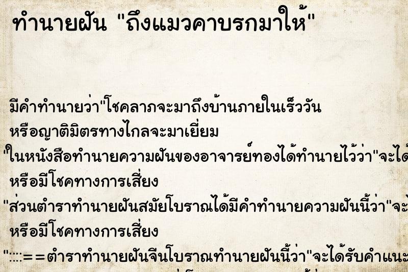 ทำนายฝัน ถึงแมวคาบรกมาให้ ทำนายฝัน ถึงแมวคาบรกมาให้