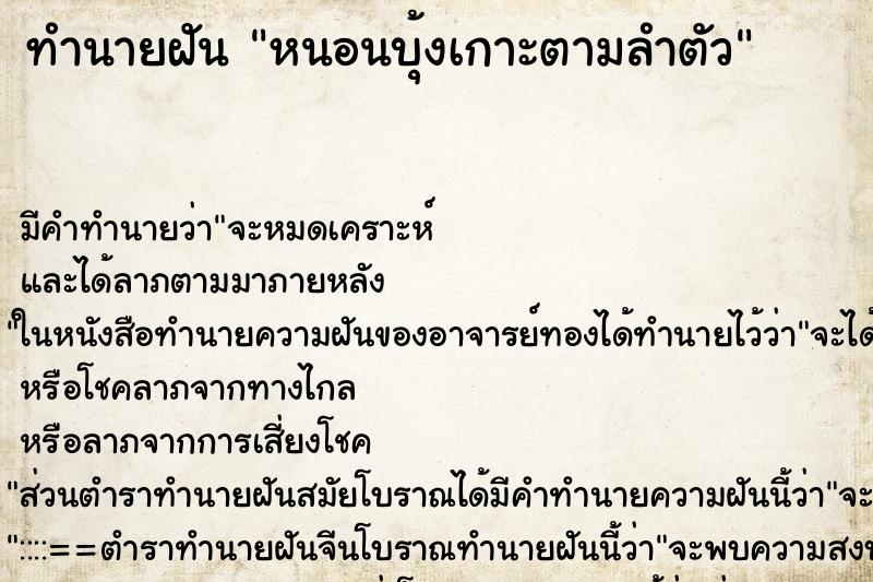 ทำนายฝันทำนายฝันหนอนบุ้งเกาะตามลำตัว