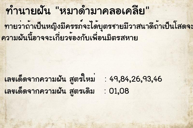 ทำนายฝันหมาดำมาคลอเคลีย ทำนายฝันทำนายฝันหมาดำมาคลอเคลีย