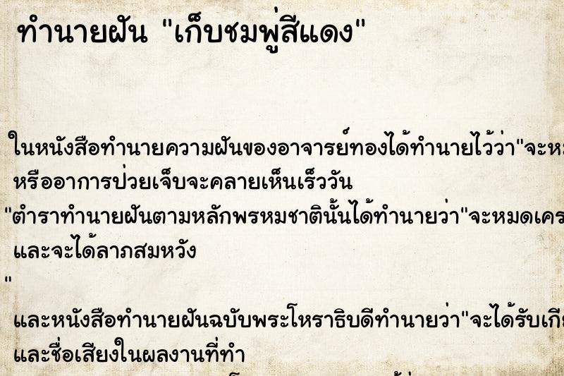 ทำนายฝัน เก็บชมพู่สีแดง ทำนายฝัน เก็บชมพู่สีแดง