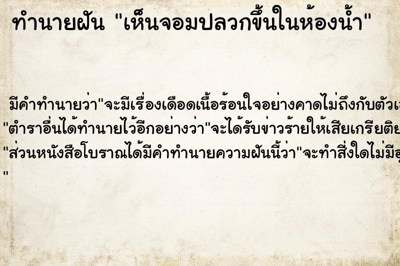 ทำนายฝัน เห็นจอมปลวกขึ้นในห้องน้ำ ตำราโบราณ แม่นที่สุดในโลก