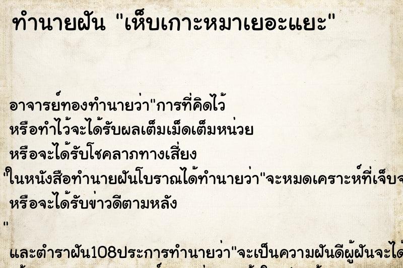ทำนายฝัน เห็บเกาะหมาเยอะแยะ ทำนายฝัน เห็บเกาะหมาเยอะแยะ