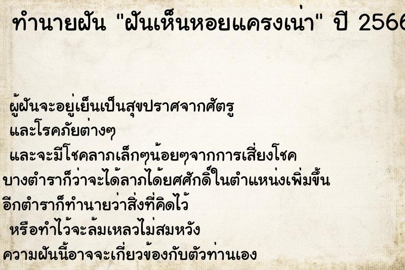 ทำนายฝันฝันเห็นหอยแครงเน่า ทำนายฝันทำนายฝันฝันเห็นหอยแครงเน่า