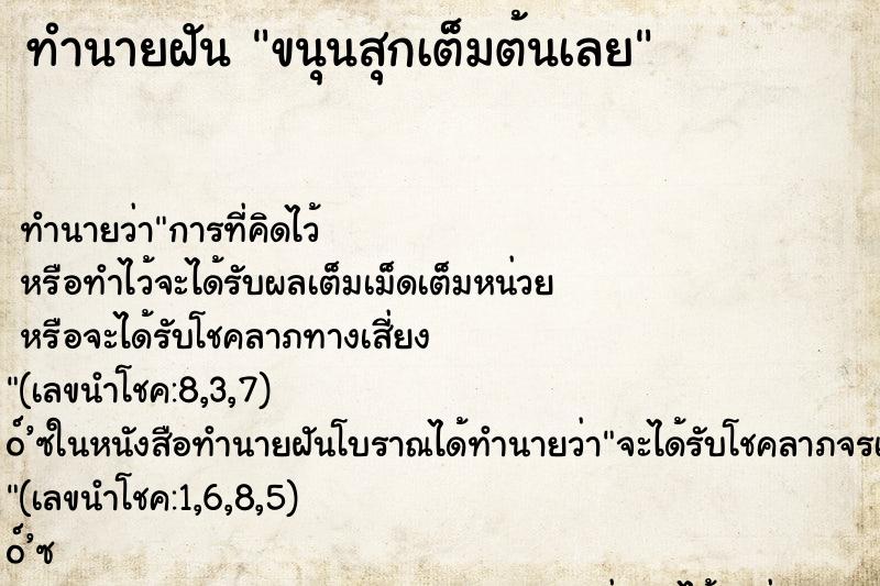 ทำนายฝันขนุนสุกเต็มต้นเลย ทำนายฝันทำนายฝันขนุนสุกเต็มต้นเลย