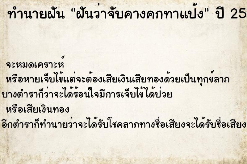 ทำนายฝันฝันว่าจับคางคกทาแป้ง ทำนายฝันทำนายฝันฝันว่าจับคางคกทาแป้ง
