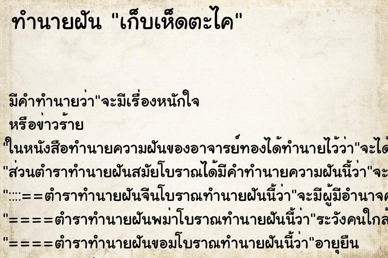 ทำนายฝันเก็บเห็ดตะไค ทำนายฝันทำนายฝันเก็บเห็ดตะไค