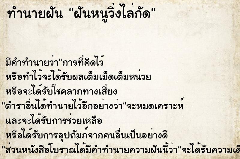ทำนายฝันฝันหนูวิ่งไล่กัด ทำนายฝันทำนายฝันฝันหนูวิ่งไล่กัด