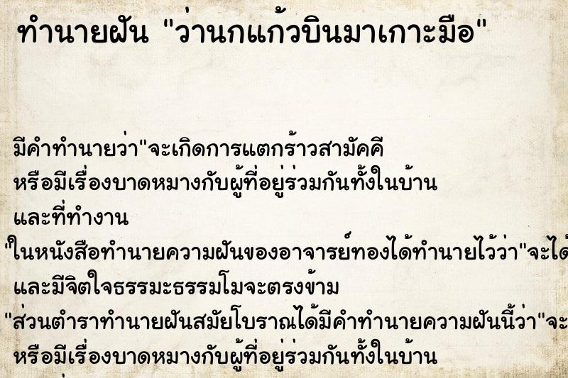 ทำนายฝัน ว่านกแก้วบินมาเกาะมือ ทำนายฝัน ว่านกแก้วบินมาเกาะมือ