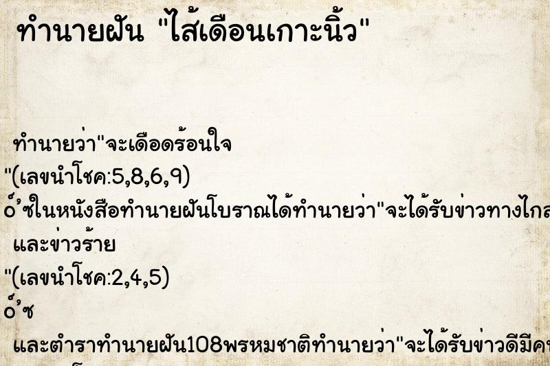 ทำนายฝันไส้เดือนเกาะนิ้ว ทำนายฝันทำนายฝันไส้เดือนเกาะนิ้ว