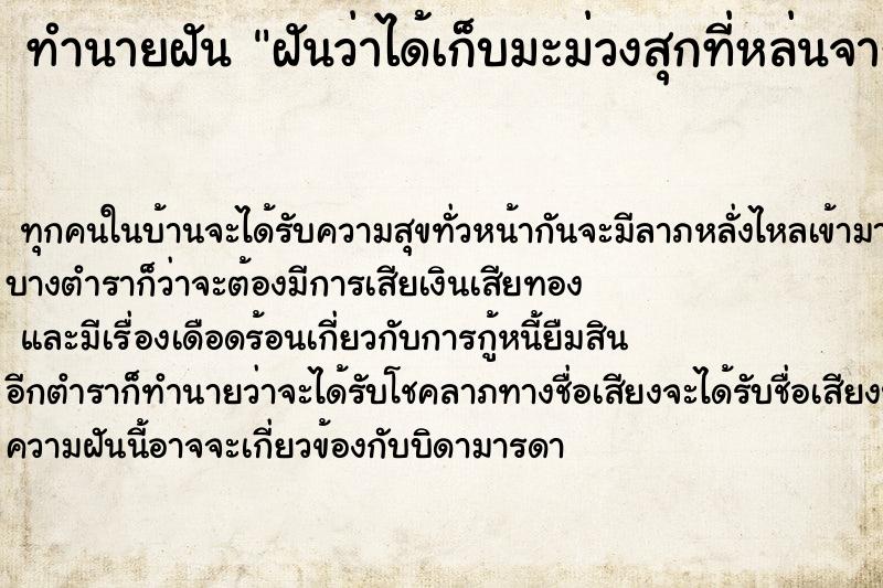 ทำนายฝัน ฝันว่าได้เก็บมะม่วงสุกที่หล่นจากต้น ทำนายฝัน ฝันว่าได้เก็บมะม่วงสุกที่หล่นจากต้น