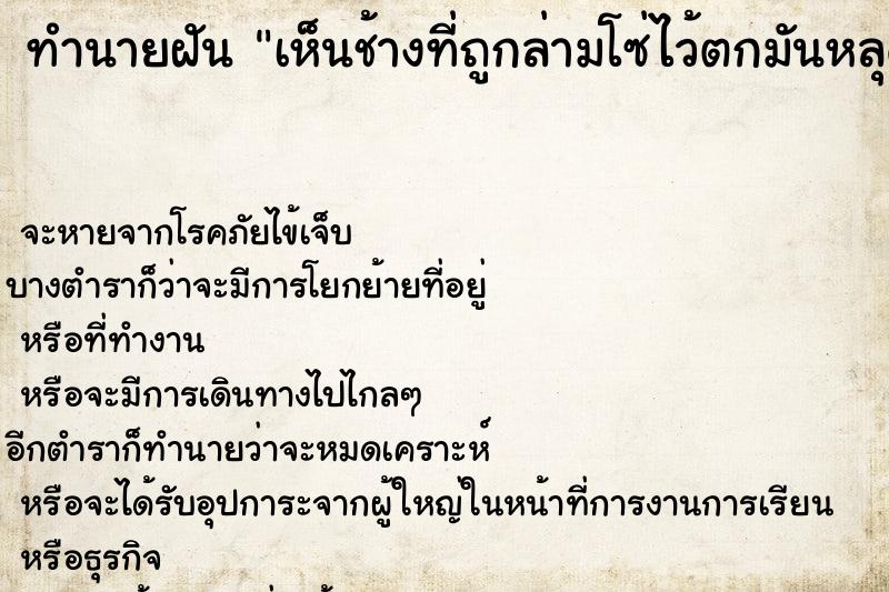 ทำนายฝันทำนายฝันเห็นช้างที่ถูกล่ามโซ่ไว้ตกมันหลุดออกมาวิ่งไล่คน