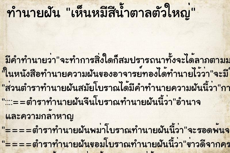 ทำนายฝัน เห็นหมีสีน้ำตาลตัวใหญ่ ทำนายฝัน เห็นหมีสีน้ำตาลตัวใหญ่