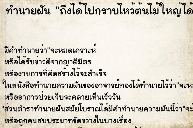 ทำนายฝันถึงได้ไปกราบไหว้ต้นไม้ใหญ่ได้ไปกราบไหว้ต้นไม้ใหญ่ ทำนายฝันทำนายฝันถึงได้ไปกราบไหว้ต้นไม้ใหญ่ได้ไปกราบไหว้ต้นไม้ใหญ่